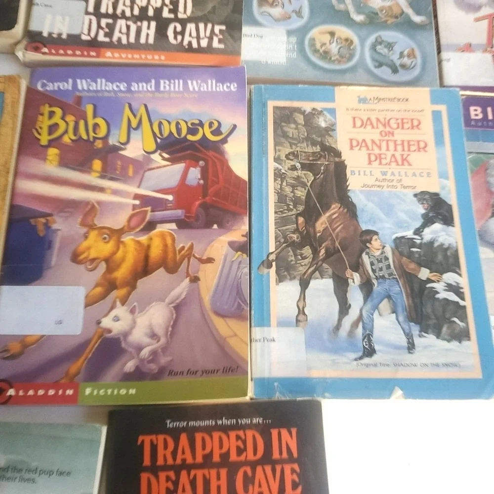 Bill Wallace Childrens Chapter Book Lot 17 Books Youth Homeschool Teacher PB